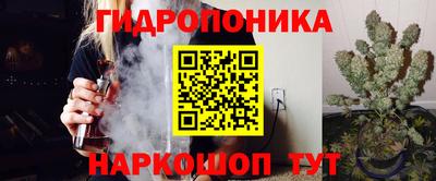 прущие крисы Кингисепп