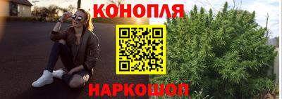 прущие крисы Кингисепп