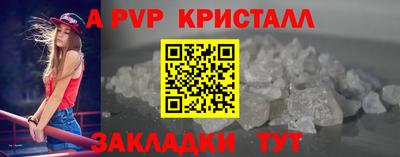 прущие крисы Кингисепп