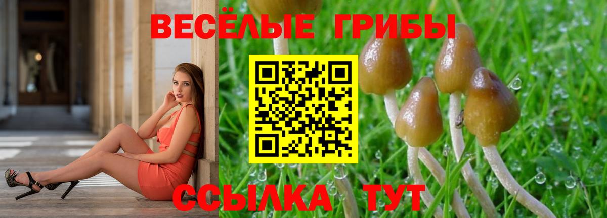 Галлюциногенные грибы Psilocybe  Вход с VPN  Галлюциногенные грибы Psilocybe  Киржач 